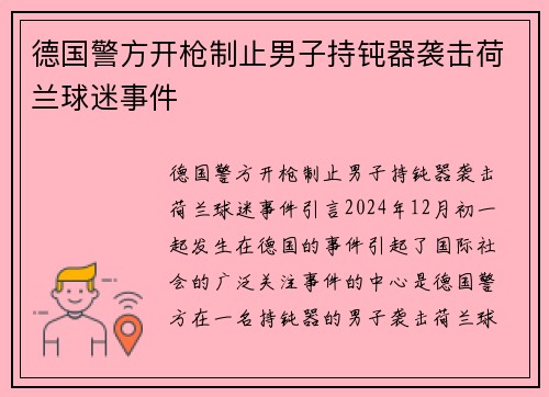德国警方开枪制止男子持钝器袭击荷兰球迷事件